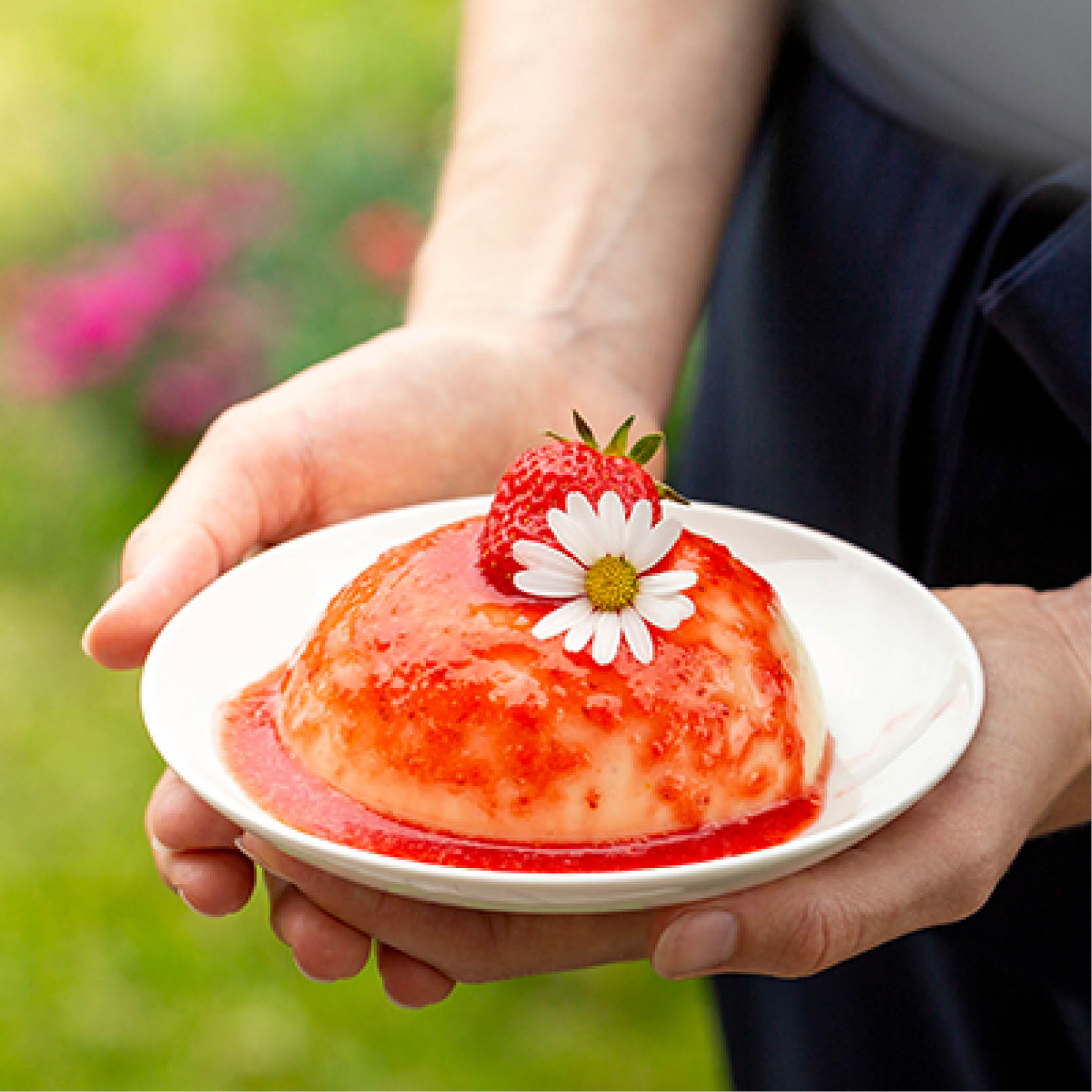 Himmlischer Apfel-Vanillepudding mit Rosen-Erdbeer Fruchtspiegel - Himmlischer Apfel-Vanillepudding mit Rosen-Erdbeer Fruchtspiegel