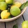 Zitronen Lemongrass Körpermilch