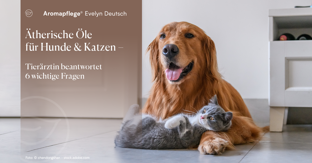 Ätherische Öle für Hunde & Katzen – Tierärztin beantwortet 6 wichtige Fragen